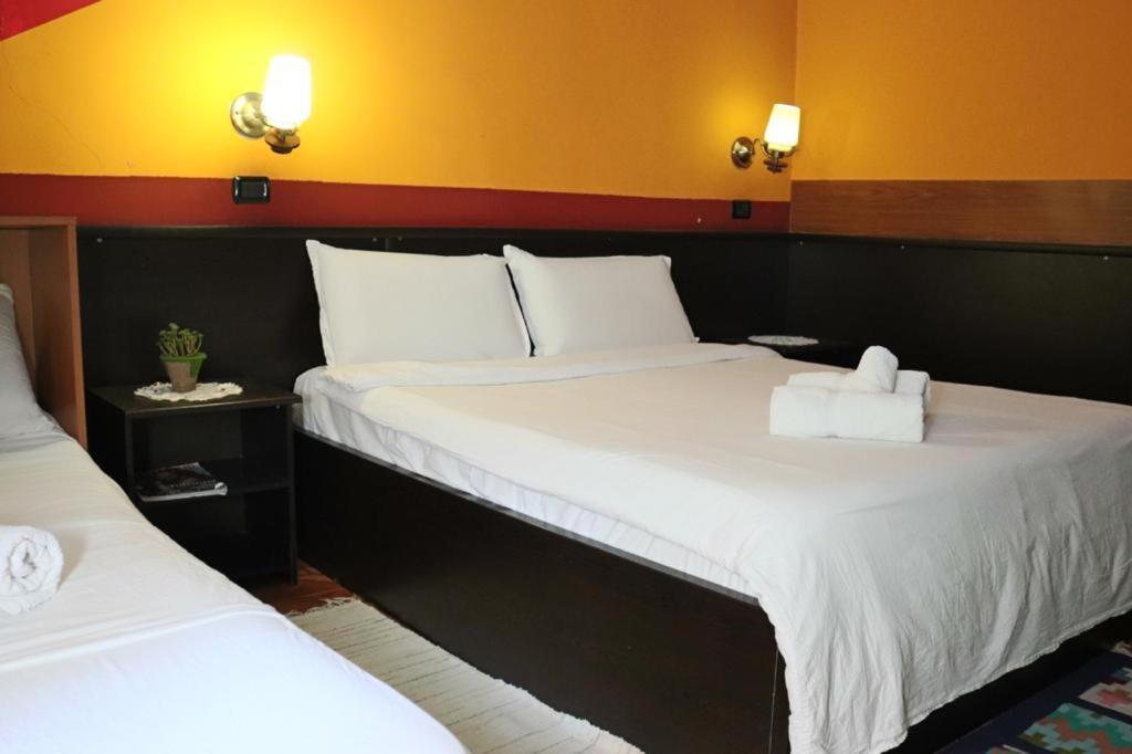 Hotel Rex Тирана Экстерьер фото